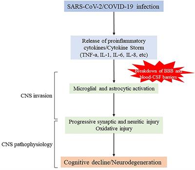 Lactoferrin as Immune-Enhancement Strategy for SARS-CoV-2 Infection in Alzheimer’s Disease Patients